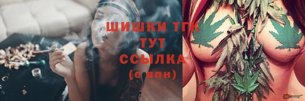 хмурый Абаза