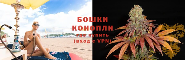 хмурый Абаза