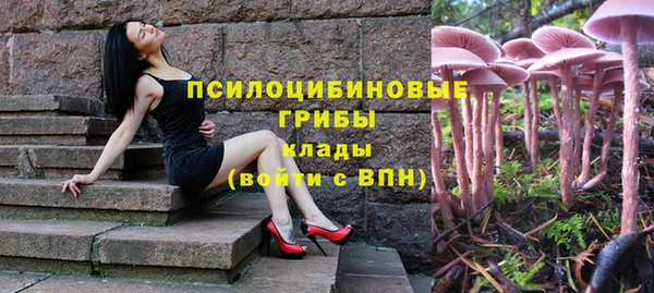 соль ск Абинск