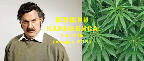 хмурый Абаза