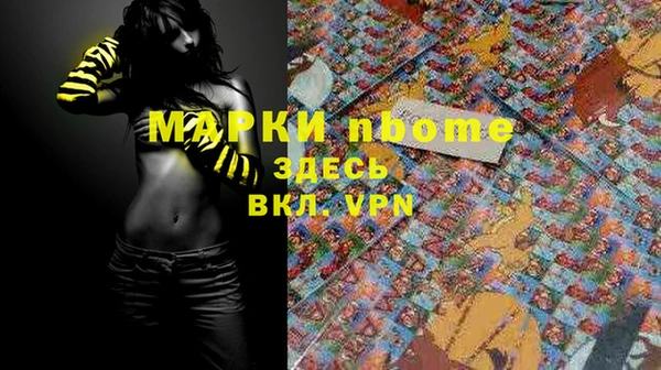 хмурый Абаза
